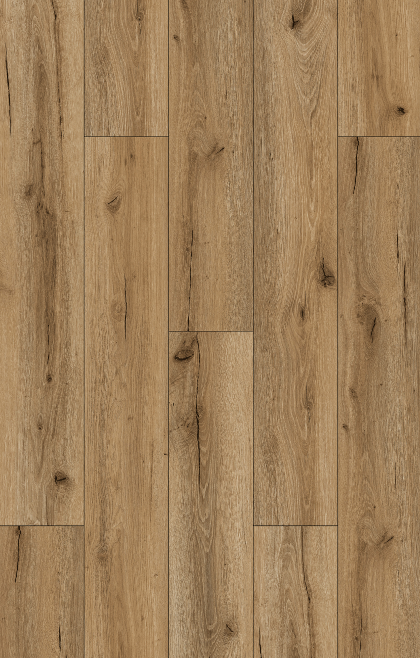 SPC Chestnut Oak