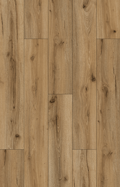SPC Chestnut Oak
